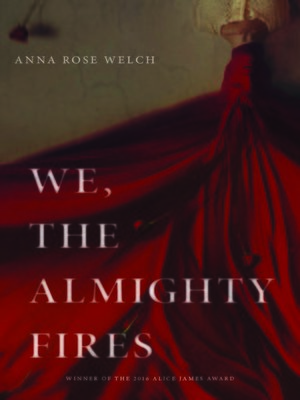 cover image of We, the Almighty Fires